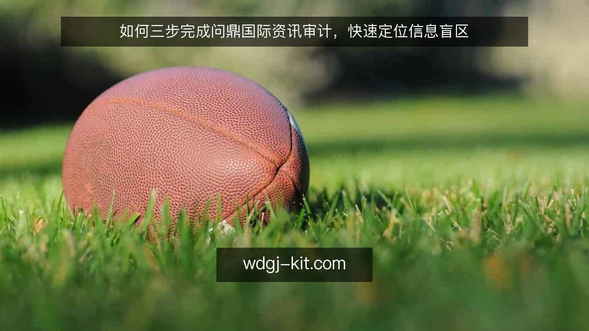 如何三步完成问鼎国际资讯审计,快速定位信息盲区