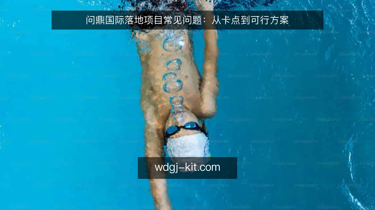 问鼎国际落地项目常见问题：从卡点到可行方案