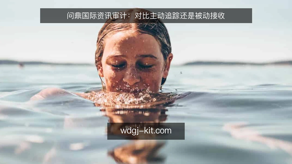 问鼎国际资讯审计：对比主动追踪还是被动接收