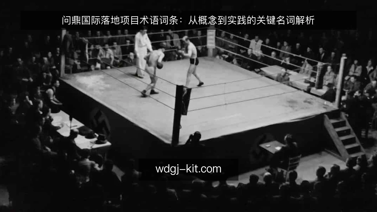 问鼎国际落地项目术语词条：从概念到实践的关键名词解析