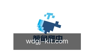 问鼎国际