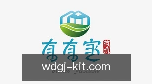 问鼎国际