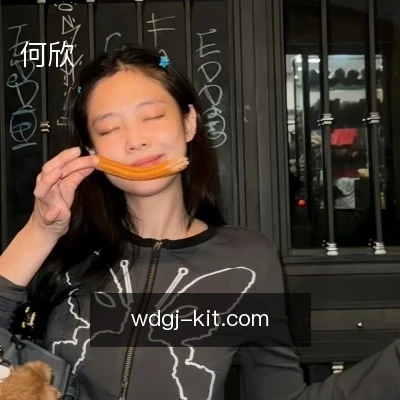 何欣